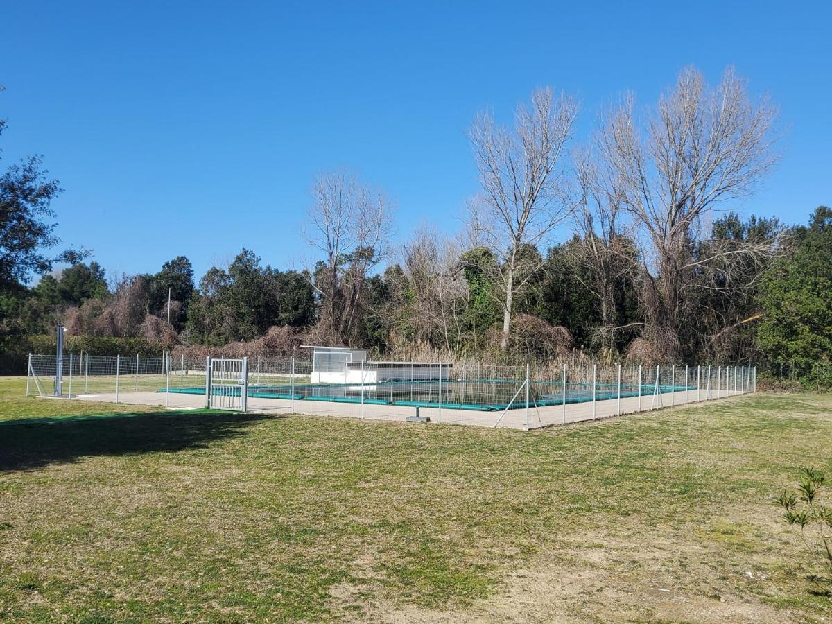 Appartamento Trilocale Nr 8 Calambrone Esterno foto